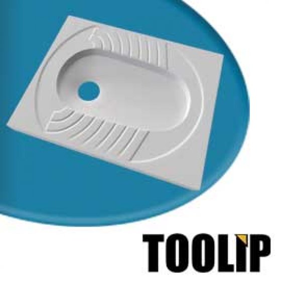 المرحاض الاسیایه تولیب